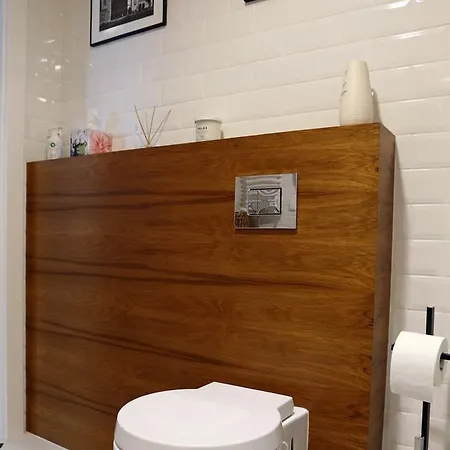 Grey Kosciuszko Cracovia