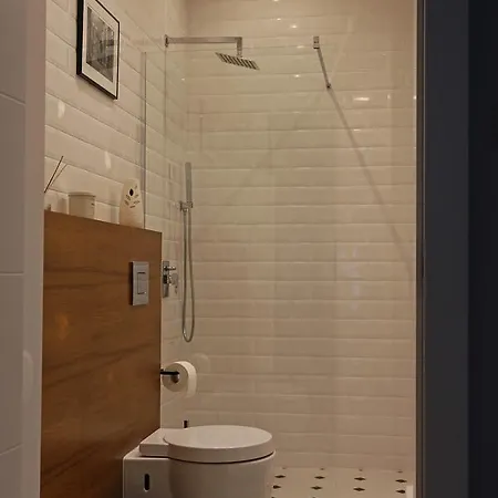 Grey Kosciuszko * Cracovia