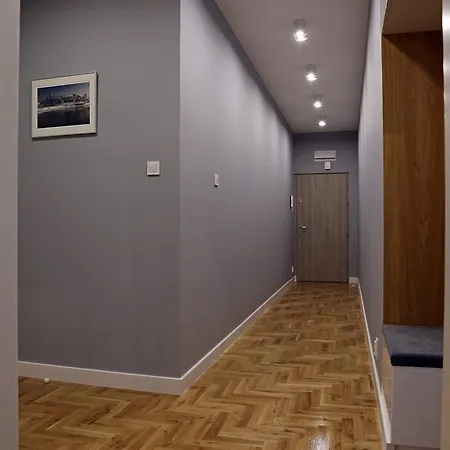 Grey Kosciuszko Cracovia